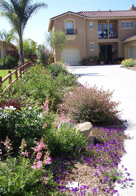 Xeriscape Ideas For Your Front Or Back Yard