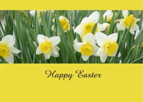 Daffodils Happy Easter Card Ad Sponsored Happy Daffodils