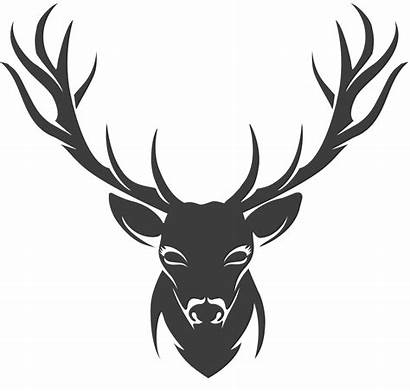 Deer Stencil Drawing Silhouette Head Clipart Horns