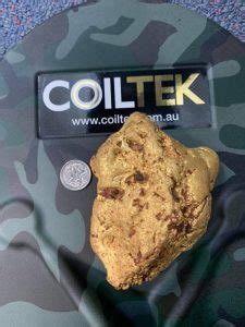 Trae consigo una tecnología que facilita la búsqueda de monedas, joyas, pepitas de oro en cuanto sea sumergible en aguas poco profundas. Joven Usa Detector De Metales Y Encuentra Pepita De Oro De ...