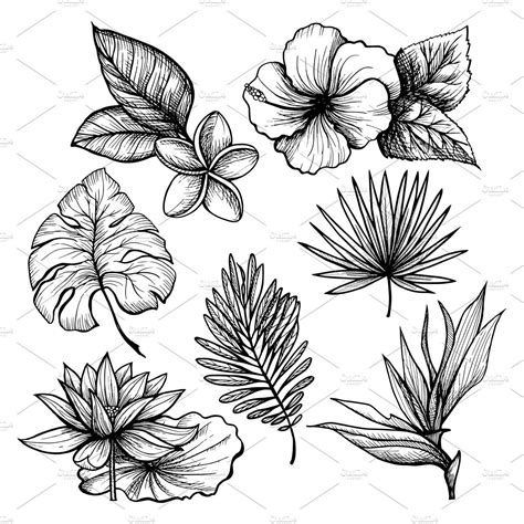 Hand Drawn Tropical Leaves Set Flower Sketches Flower Drawing