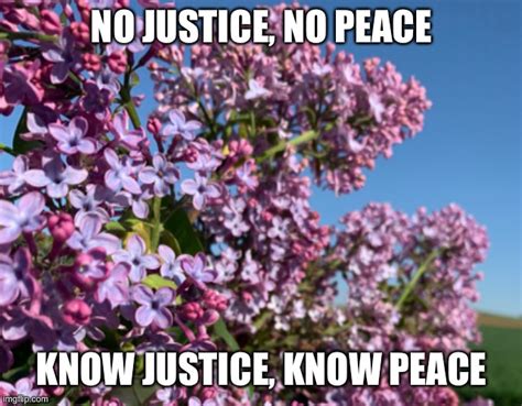 Justice And Peace Imgflip