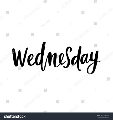Wednesday Vector Hand Drawn Lettering Phrase Stock Vector Royalty Free