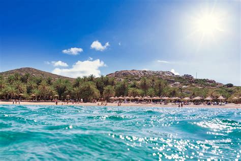 Vai Palm Beach Crete Best Travel Guide Go Greece Your Way
