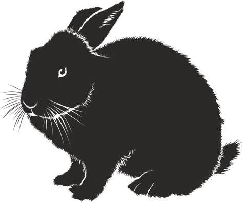 Domestic Rabbit Silhouette Black White Clip Art Silho