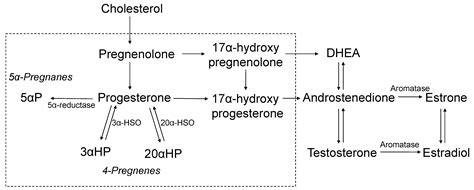 Jcm Free Full Text Relationship Of Serum Progesterone