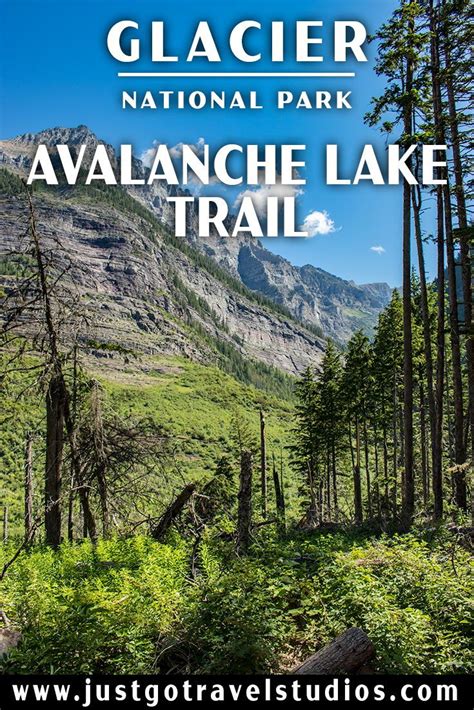 Avalanche Lake Trail In Glacier National Park National Parks Trip