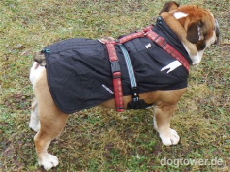 Angebot kann nicht erstellt werden. ...englische Bulldogge Rudi mit dem Summit Parka Wintermantel