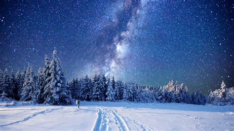 Wallpaper Forest Snow Winter Sky Stars Night 5k