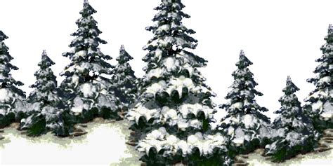 Snowy Pine Tree Png