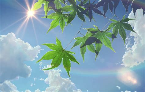 Wallpaper The Sun The Sky Clouds Anime Foliage Makoto Xingkai