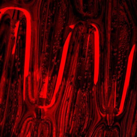 Abstracts Aleka Iakovidou Red Color Color Neon Signs