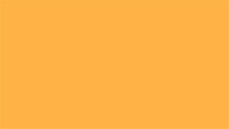 Solid Light Orange Background Perfect For Website Or Social Media