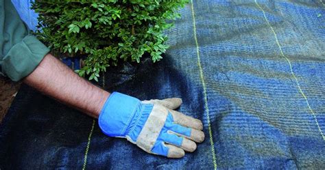 How To Install Weed Barrier Ultimate Guide Mygardenzone