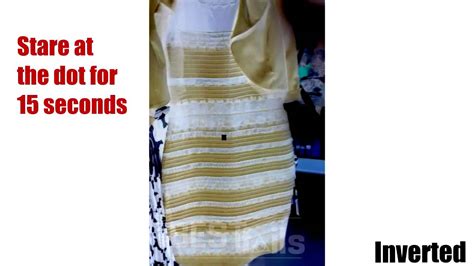 The Truth About White Gold Or Black Blue Dress Youtube