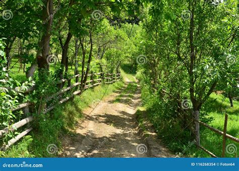 Country Road Bordered By Fence Stock Photo Image Of Road Footpath