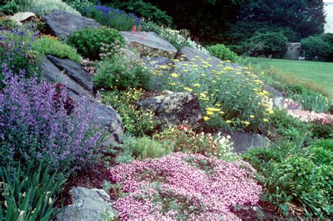 Maybe you would like to learn more about one of these? Maher & Greenwald Fine Gardens :: Slopes and Rock Gardens ...