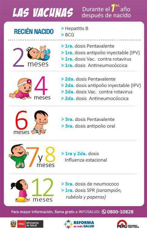 Tiene por objeto el proveer a la persona vacunada, a los padres colombia ha definido al programa ampliado de inmunizaciones (pai), como el programa. Vacunas | Nursing | Cuidar bebe, Alimentacion bebe y Bebe