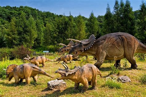 Najlepsze Parki Dinozaurów W Polsce Top 5 Polskazachwycapl