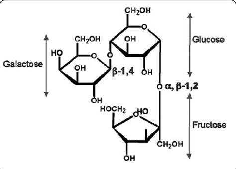 Structure Of Galactose And Fructose