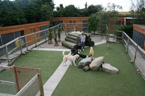 Best Boarding Facilities For Dogs Cheap Offer Save 70 Idiomasto