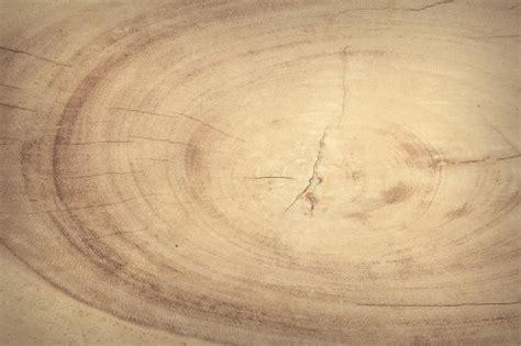 Free Images Nature Abstract Board Wood Antique Grain Sunlight