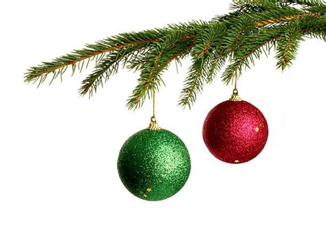 330000 Christmas Tree Branch Stock Photos Pictures And Royalty Free