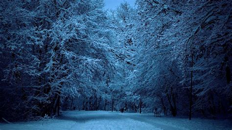 Aesthetic Winter Night Wallpapers Wallpaper Cave