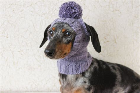 Knitting Pattern Mini Dachshund Dog Hat Small Dog Hat Etsy