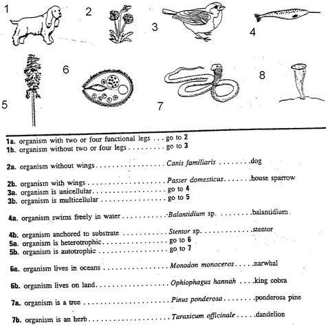 Scientists have discovered quite a few new crewatures on planet pamishan. 13 Best Images of Science Worksheets Plants - Grade ...