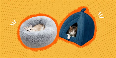 5 Calming Cat Beds To Help An Anxious Cat Dodowell The Dodo