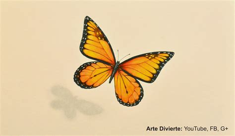 C Mo Dibujar Una Mariposa Monarca Arte Divierte Illusion Drawings