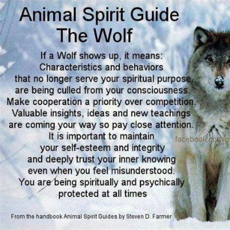 Animal Meanings Animal Symbolism Animal Spirit Guides Wolf Spirit