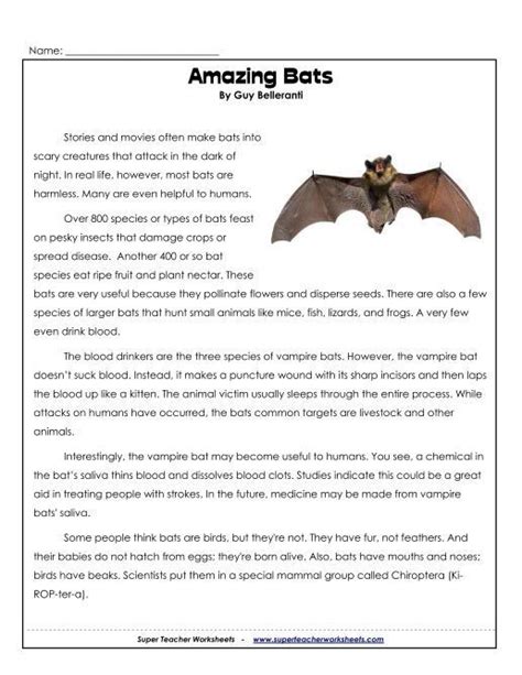Amazing Bats Super Teacher Worksheets Super Teacher Worksheets