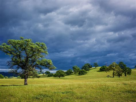 Spring Nature Landscape Usa California Hills Grass Trees Cloudy