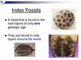 Images of Index Fossils