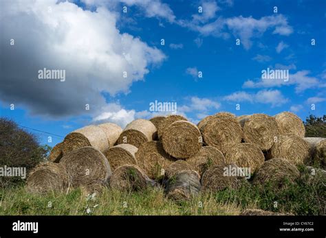 Rolls Of Hay Stock Photo Alamy