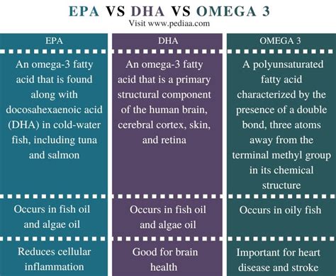 What is the Difference Between EPA DHA and Omega 3