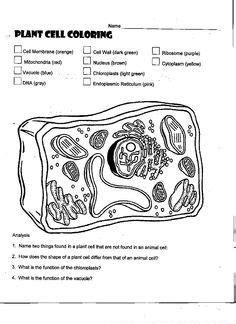 If you would like to use the printables, activities, word wall cards, label cards, play dough recipe, and more with your students they are available in my plants & flowers science activities resource. 16 Best Images of Macromolecules Coloring Worksheets And ...
