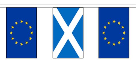 Scotland And European Union 10m Friendship Flag Bunting