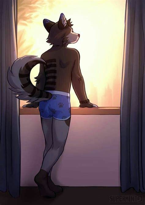 Male Furry Furry Wolf Yiff Furry Anime Furry Anime Wolf Furry Art