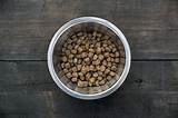 Feeding a dog with pancreatitis a substandard kibble or dog treat can cause the pancreas to become inflamed, further agitating the disease. Low Fat Dog Food Recipes For Dogs With Pancreatitis / 17 Best images about Dog Health on ...