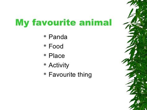 My Favourite Animal