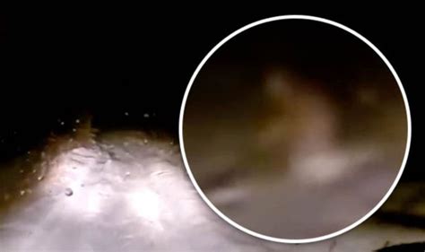 Yeti Footage Snowy Big Foot Caught By Russian Travellers World