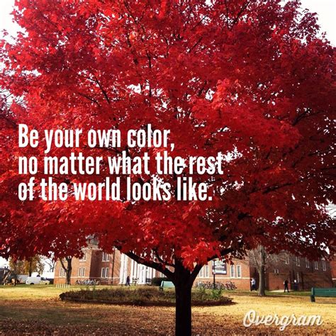 #quote #fall #saying #tree #nature #color | Nature quotes, Happy fall