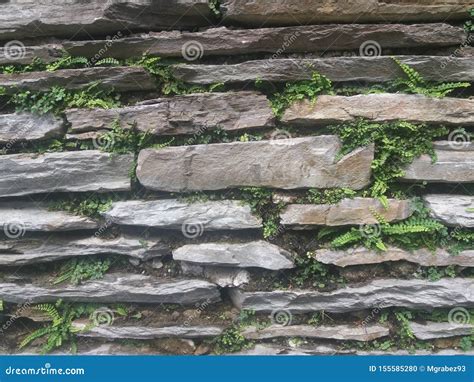 Old Stone Ruins Stacked Wall Stock Photo Image Of Background Fern