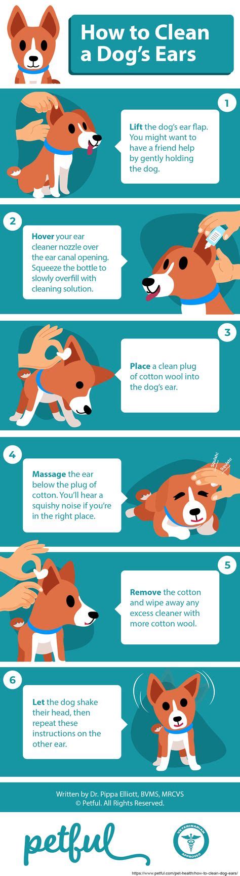 How To Clean Dog Ears An Expert Guide Vet Approved Advice Cleaning
