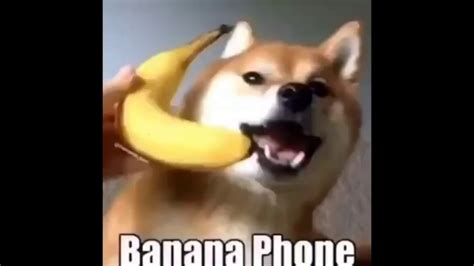 Banana Phone Doge Youtube