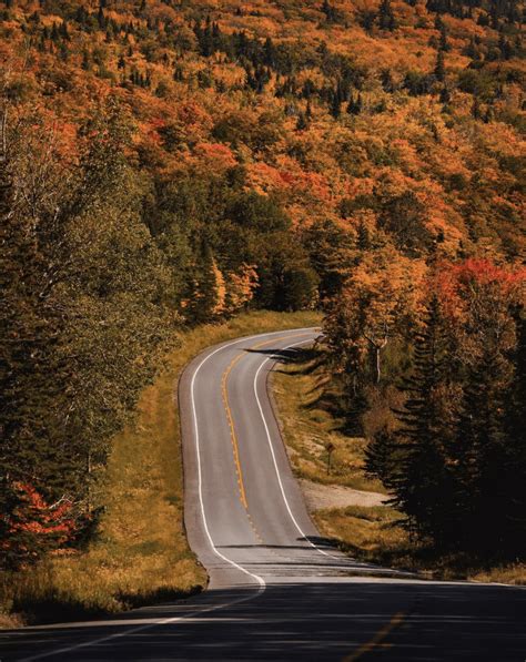 10 Cant Miss Fall Scenic Drives In Maine