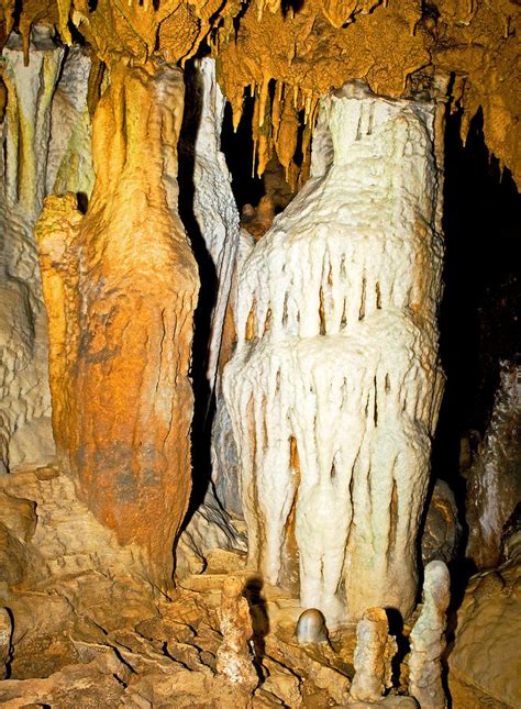 Limestone Columns In Florida Caverns Photograph By Millard H Sharp